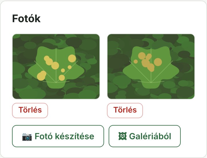 Fotók egy jegyzetnél: kamera vagy galéria